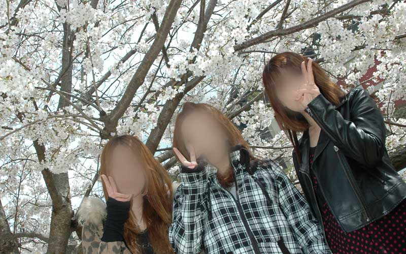 仲良い3人で花見風景