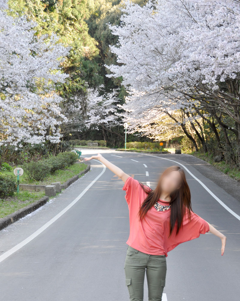 デイトナのあおいさん桜並木